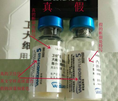 如何辨別輝瑞衛(wèi)佳疫苗真假？(圖3)