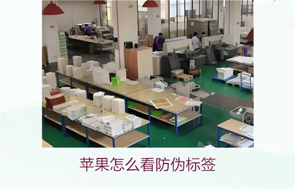 蘋(píng)果怎么看防偽標(biāo)簽1.jpg
